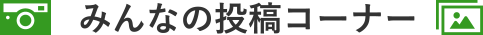 みんなの投稿コーナー