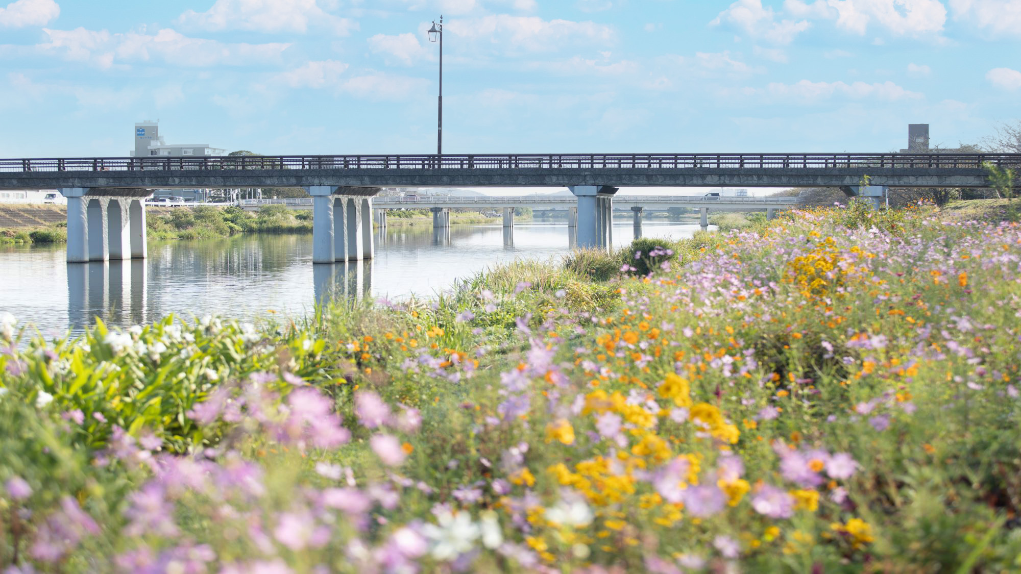 今川橋