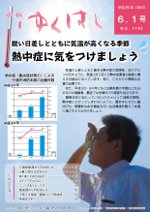 市報平成25年6月1日号