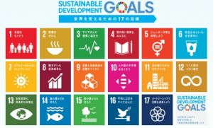 SDGｓ17の目標の画像