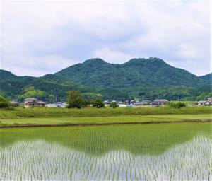 馬ケ岳の画像