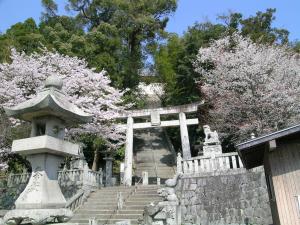 今井津須佐神社 百段がんぎ