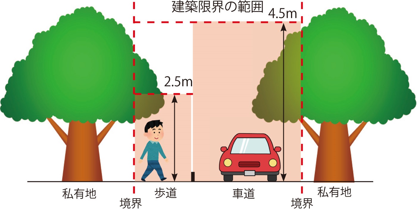 伐採範囲のイメージ