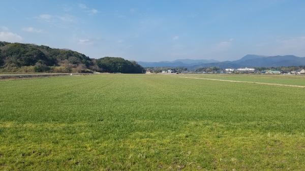 田んぼdeサッカー会場