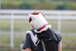 おんぶされる犬