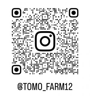 QR（TOMO＿FARM12）