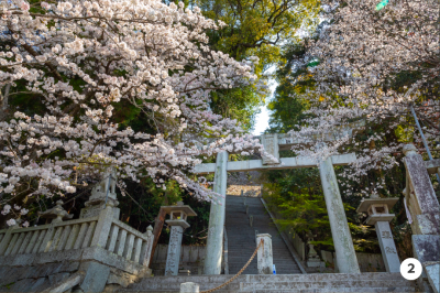 須佐神社２