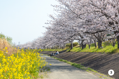 今川３