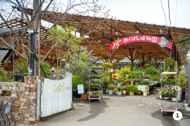 植物園１