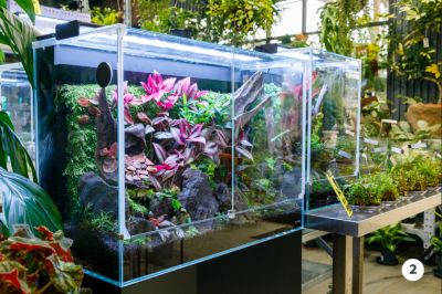 植物園２