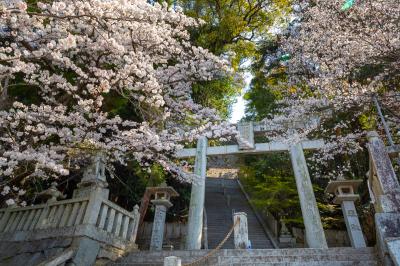 須佐神社