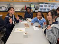 理科の授業の様子