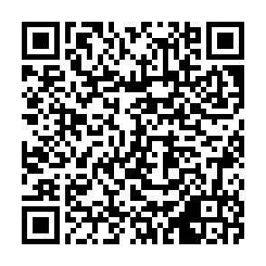 申し込みQRコード