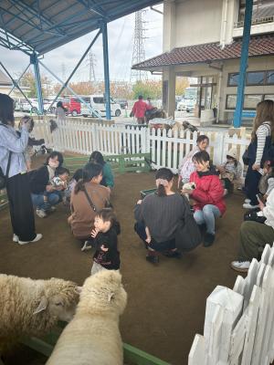 移動動物園画像　ひよこ