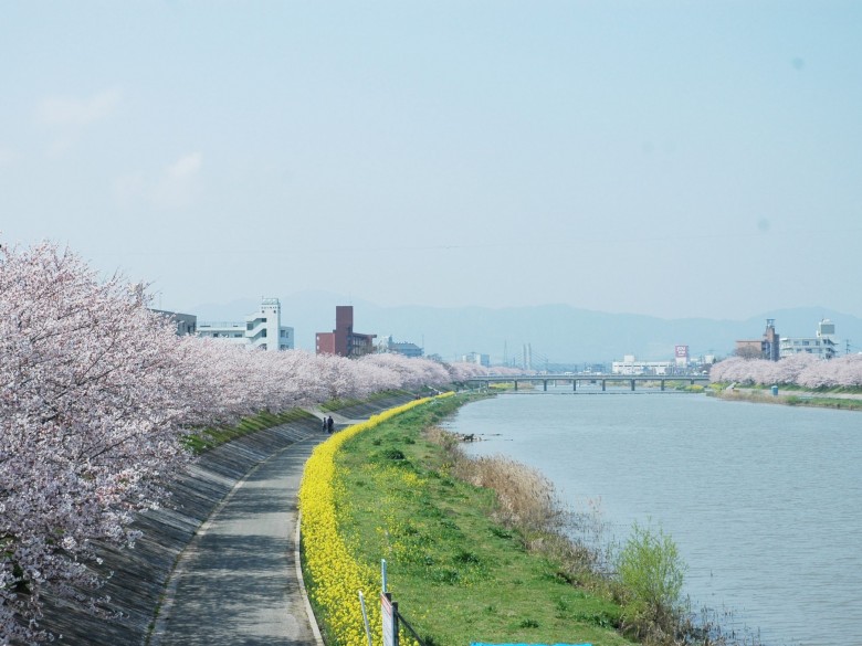 今川河畔の画像