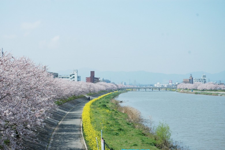 けいちくチャリ散歩の画像